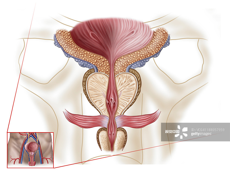 [南京邦德中医男科]-前列腺炎超声检查