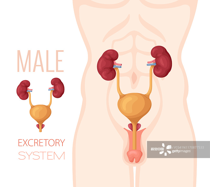 前列腺炎的尿液是什么样子