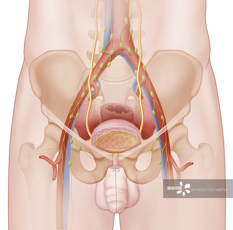 前列腺炎按压小腹会疼吗