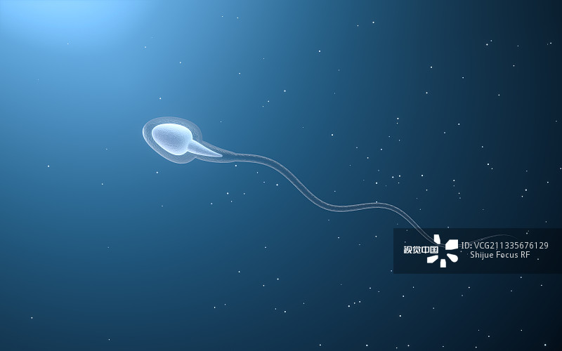 VCG211335676129.jpg