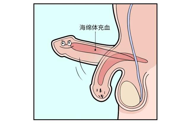 勃起时间短还不硬是怎么回事?南京治疗阳痿好的医院是哪家?