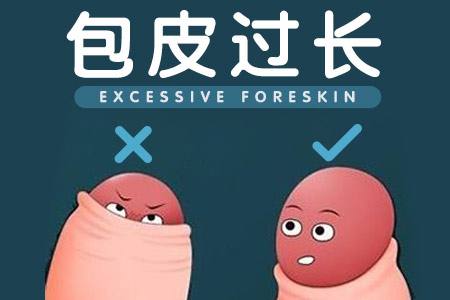 包皮太长和包皮过长，容易引起生殖器发炎