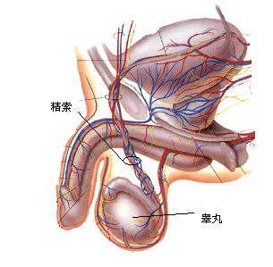 南京邦德中医院解答男性一侧睾丸痛怎么治疗？